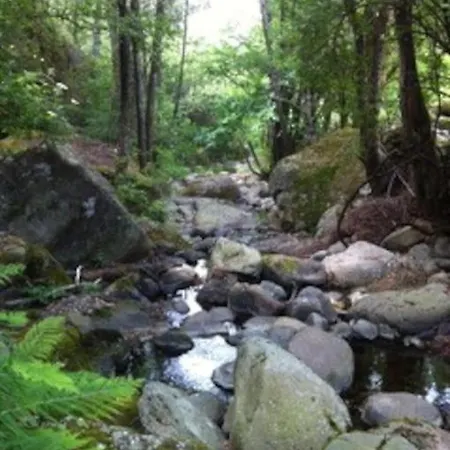 Du Rat Sainte-Cecile-d'Andorge