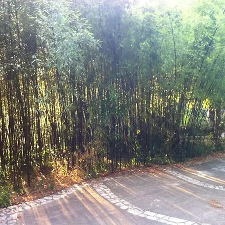 Du Rat Sainte-Cecile-d'Andorge