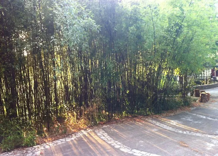 Du Rat Sainte-Cecile-d'Andorge